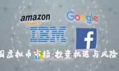 2023年中国虚拟币市场：投资机遇与风险共存的时
