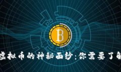 揭开天王级虚拟币的神秘面纱：你需要了解的全