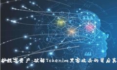 保护数字资产：破解Tokenim黑客攻击的背后真相
