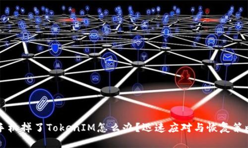 手机掉了TokenIM怎么办？迅速应对与恢复策略