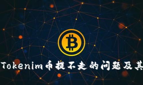 如何解决Tokenim币提不走的问题及其风险分析
