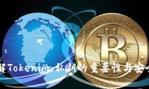 深入理解Tokenim：私钥的重要性与安全性分析