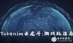 全面解析Tokenim云龙斗：游戏玩法与策略指南
