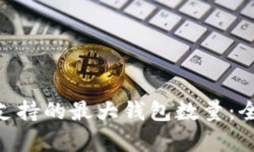 Tokenim支持的最大钱包数量：全方位解析