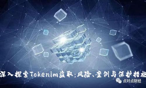深入探索Tokenim盗取：风险、案例与保护措施