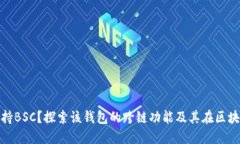 TokenIM是否支持BSC？探索该钱包的跨链功能及其在