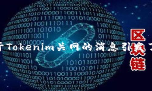在这个虚拟货币快速发展的时代，Tokenim作为一个交易平台，也曾引起了很多投资者的关注。然而，近期关于Tokenim关网的消息引发了许多用户的疑惑，尤其是关于币是否可以提取的问题。本文将围绕这一主题进行详细探讨，并回答相关问题。

Tokenim关网后的币提取问题解析
