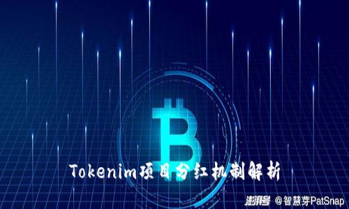 Tokenim项目分红机制解析