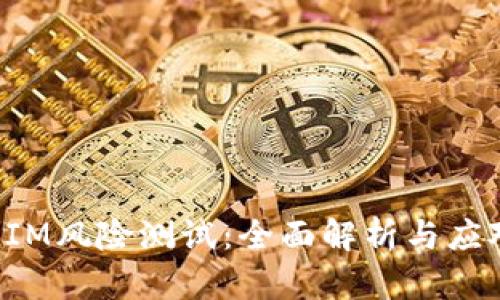 TokenIM风险测试：全面解析与应对策略