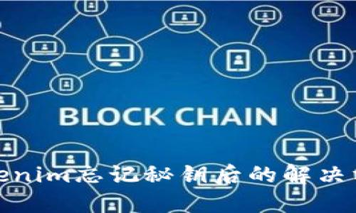 Tokenim忘记秘钥后的解决方案