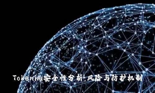 Tokenim安全性分析：风险与防护机制