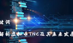 与关键词深入解析虚拟币TNC及其未来发展趋势