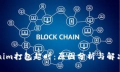 Tokenim打包超时：原因分析与解决方案