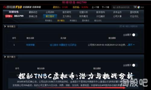 探秘TNBC虚拟币：潜力与挑战分析