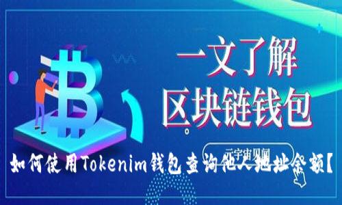 如何使用Tokenim钱包查询他人地址余额？