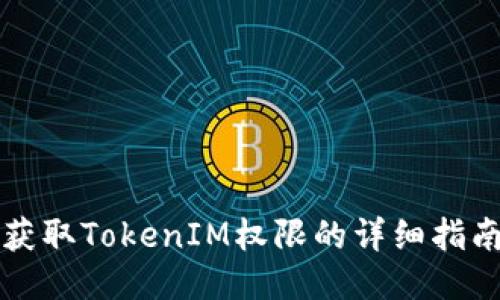 获取TokenIM权限的详细指南