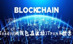 和关键词 如何通过Tokenim钱包在波场（Tron）投票
