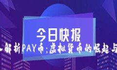  深入解析PAY币：虚拟货币的崛起与未来