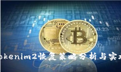 Tokenim2恢复策略分析与实施