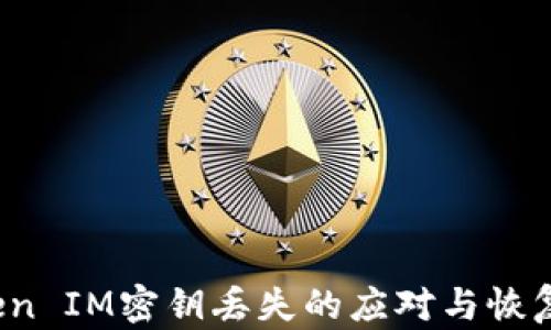 
 Token IM密钥丢失的应对与恢复指南
