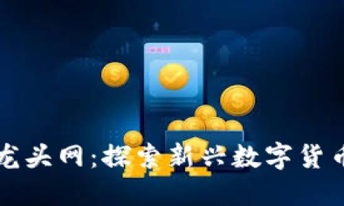 虚拟币测试水龙头网：探索新兴数字货币的潜力与挑战