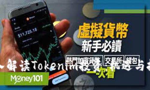 深入解读Tokenim投资：机遇与挑战