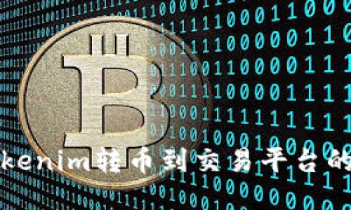 如何将Tokenim转币到交易平台的详细指南
