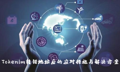 Tokenim转错地址后的应对措施与解决方案