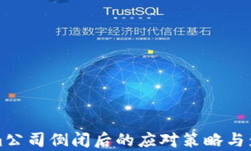 
Tokenim公司倒闭后的应对策略与影响分析