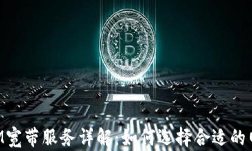 
TokenIM宽带服务详解：如何选择合适的网络方案