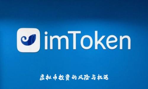 虚拟币投资的风险与机遇