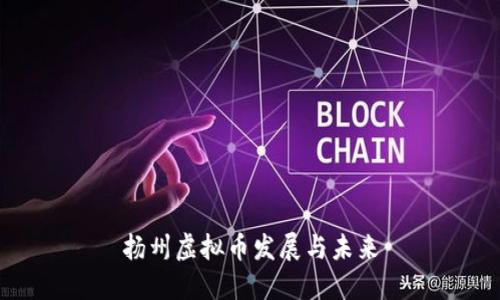 扬州虚拟币发展与未来