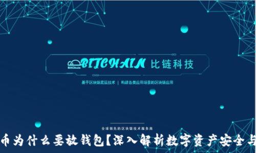   
虚拟币为什么要放钱包？深入解析数字资产安全与管理