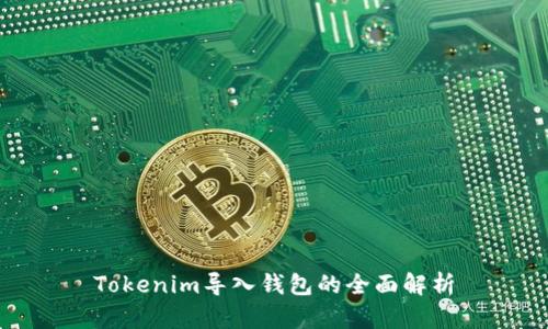 Tokenim导入钱包的全面解析