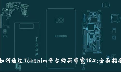 如何通过Tokenim平台购买带宽TRX：全面指南