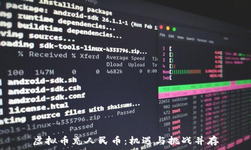  
虚拟币充人民币：机遇与挑战并存