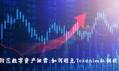  防范数字资产泄露：如何避免Tokenim私钥被盗