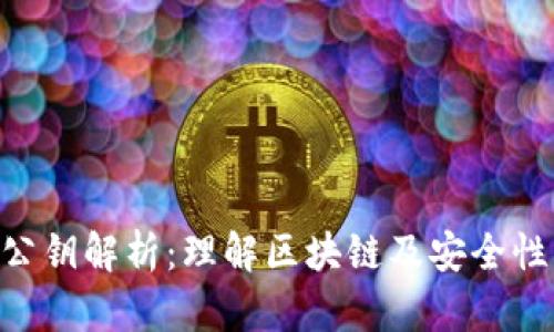 Tokenim公钥解析：理解区块链及安全性的重要性