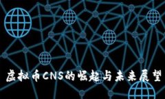 虚拟币CNS的崛起与未来展望