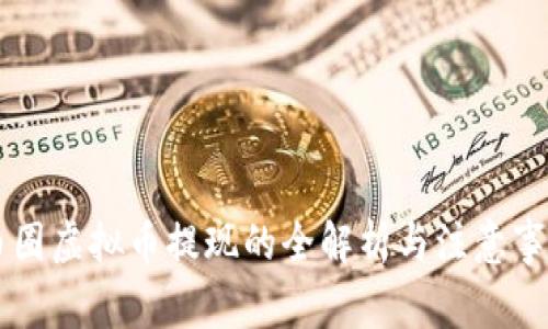 币圈虚拟币提现的全解析与注意事项