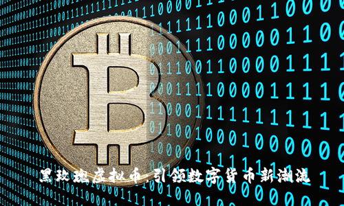 黑玫瑰虚拟币：引领数字货币新潮流