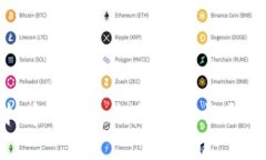 探索国产虚拟币钱包的未来：安全性与便捷性的