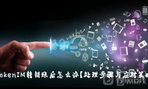 TokenIM转错账后怎么办？处理步骤与应对策略