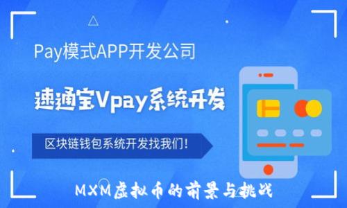   
MXM虚拟币的前景与挑战