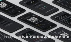  Tokenim钱包能量消失的原因及解决方案