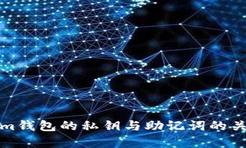 Tokenim钱包的私钥与助记词的关系解析