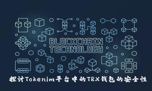  探讨Tokenim平台中的TRX钱包的安全性