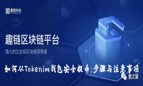 如何从Tokenim钱包安全提币：步骤与注意事项